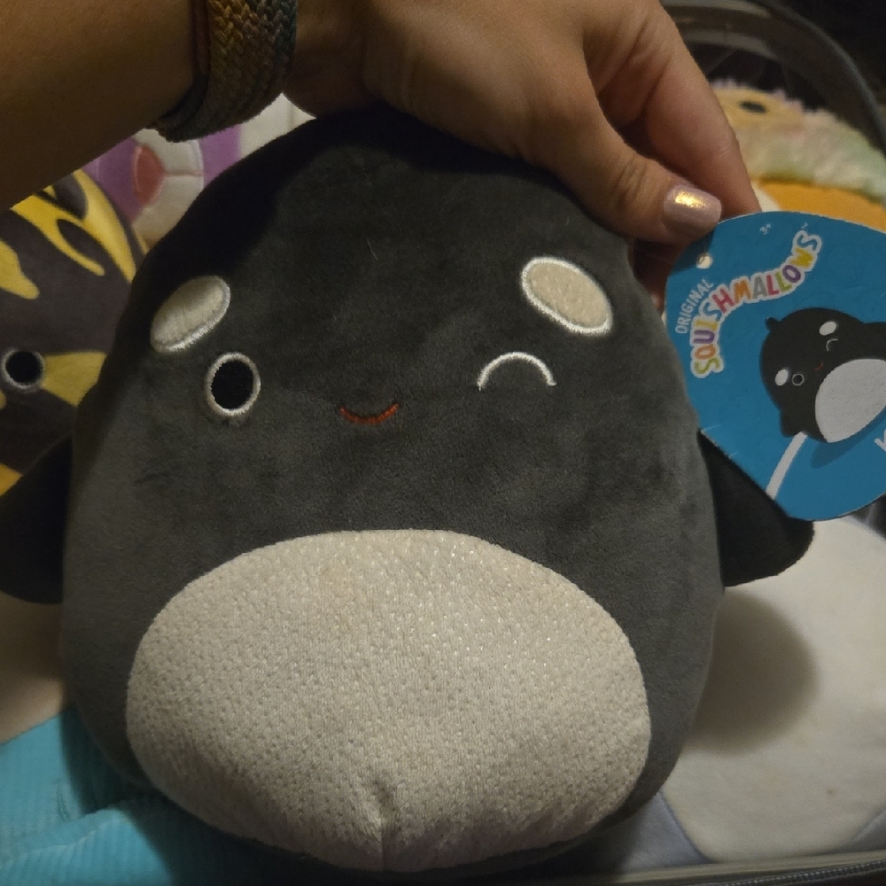Squishmallows Kai Orca S7 W/tag